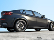 BMW Interceptor-  11