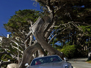   Mercedes SLS AMG-  17