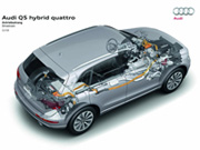 Q5 Hybrid quattro ������������� � ����- ���������� �15