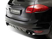    Hamann -  10