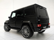 Widestar 800 -     -  25