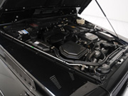 Widestar 800 -     -  11