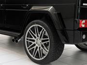 Widestar 800 -     -  7