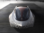  Aria 'Swan Wing'-  18