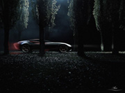  Aria 'Swan Wing'-  16