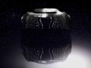  Aria 'Swan Wing'-  3