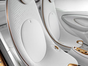 Smart ForVision   -  15