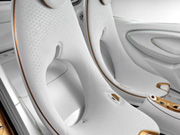 Smart ForVision   -  1